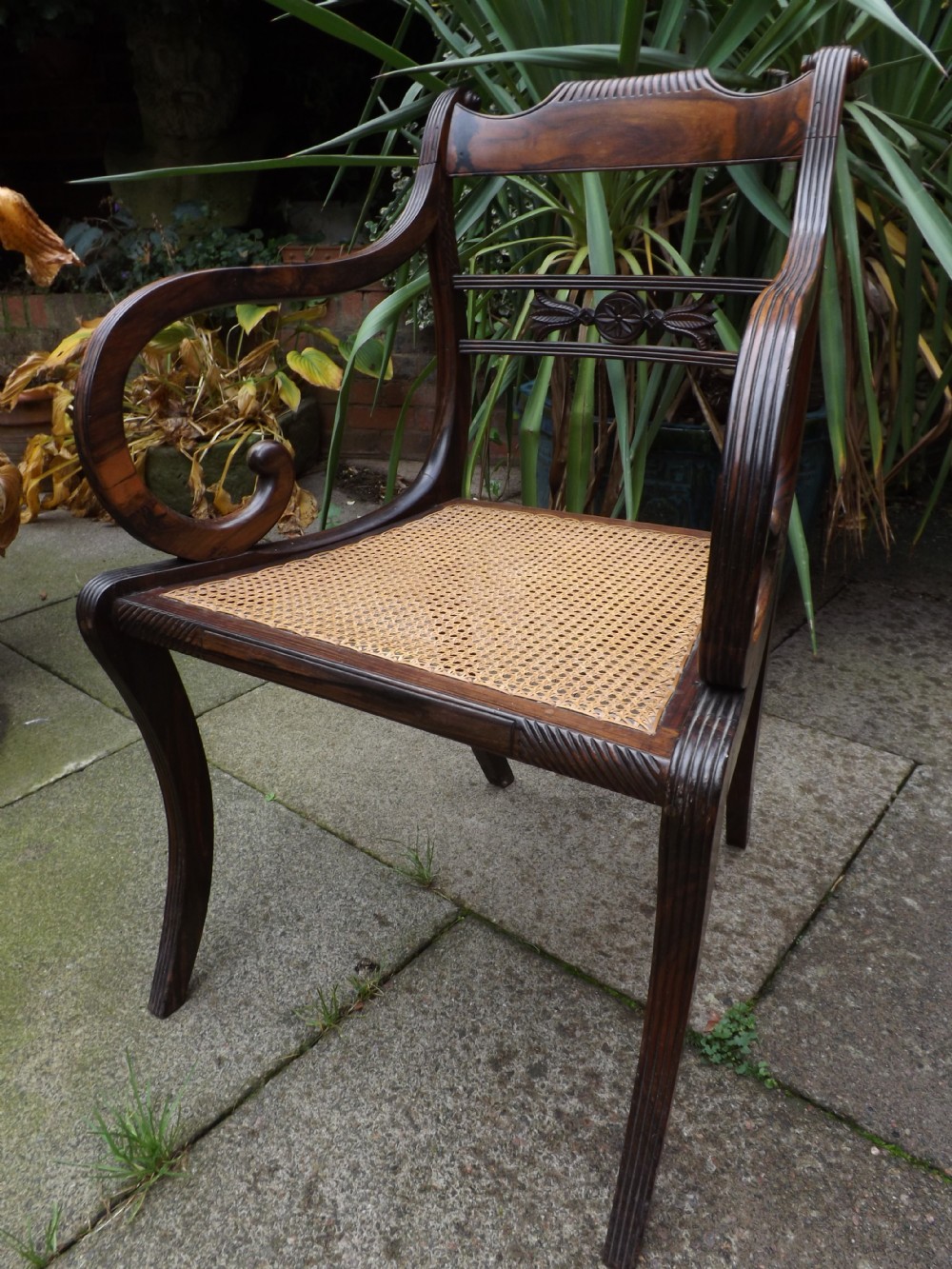 Rare early C19th Regency period Anglo-Indian coromandel armchair.