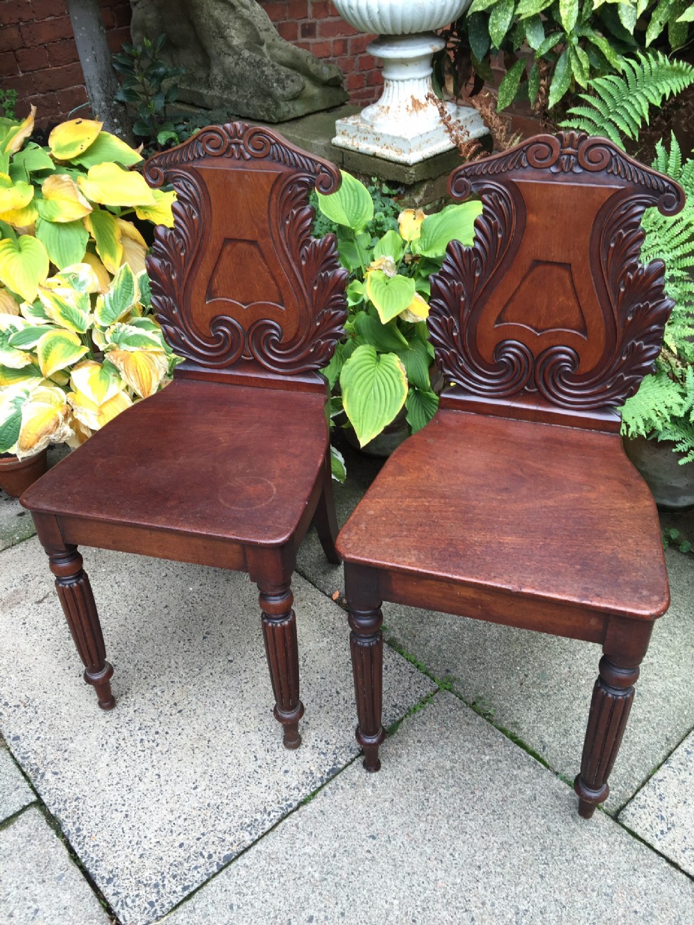 Pair of early C19th George IV period carved mahogany hall chairs