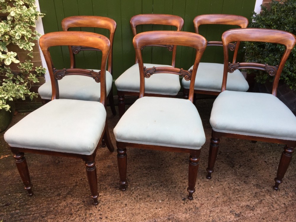 Set of 6 C19th William IV period mahogany dining chairs .
