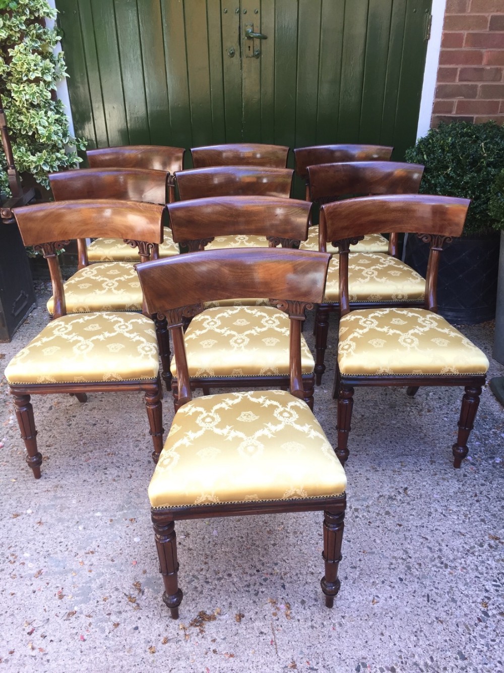 Superb set of 10 C19th William IV period mahogany dining chairs .