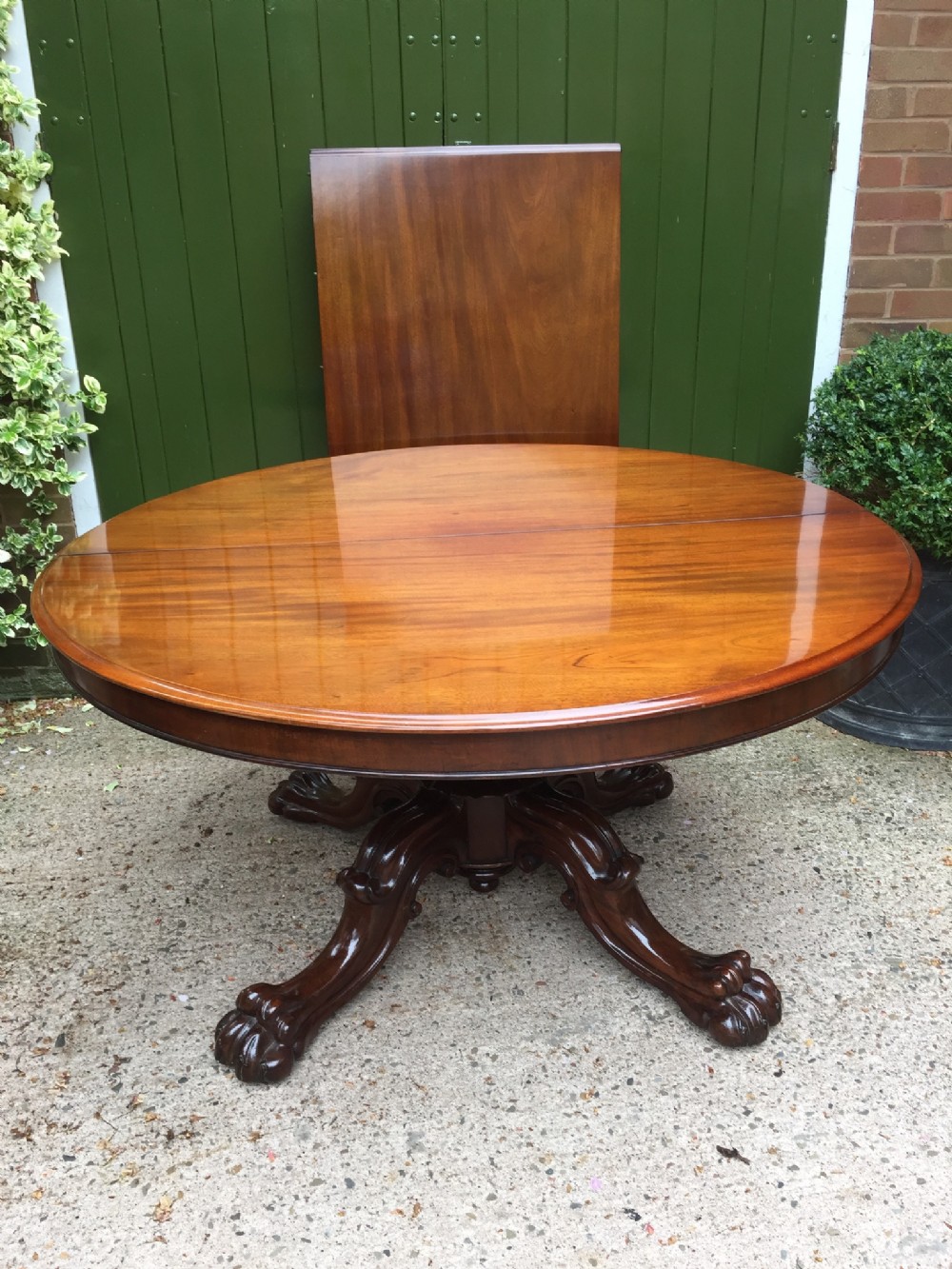 C19th William IV period mahogany circular extending dining table with extra leaf.