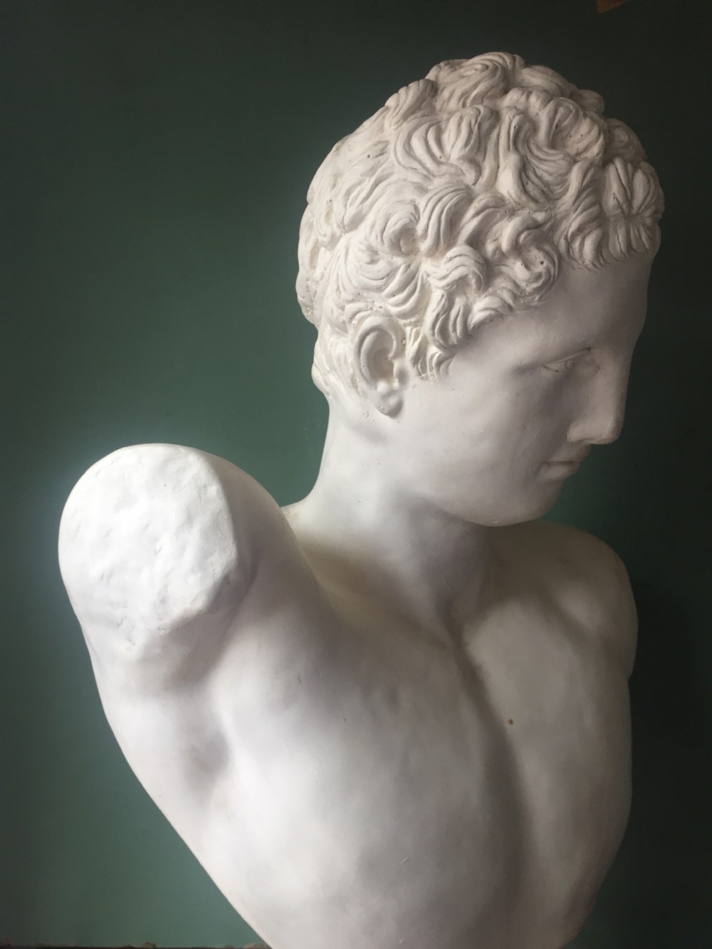 Late C19th plaster library bust of the Greek god Hermes. View XIV