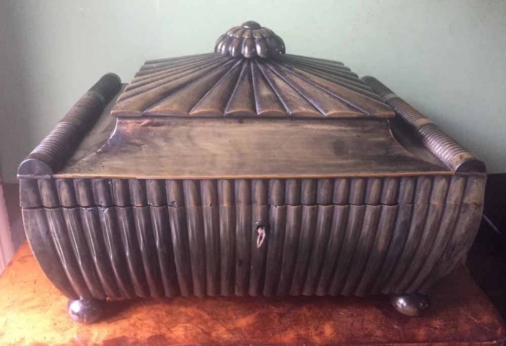Fine mid C19th Vizagapatam Indian buffalo horn , sandalwood, ebony and ivory workbox of sarcophagus form . View IV
