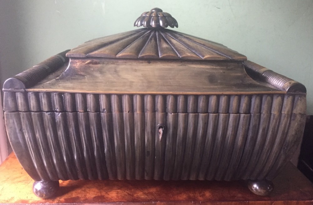 Fine mid C19th Vizagapatam Indian buffalo horn , sandalwood, ebony and ivory workbox of sarcophagus form . View X
