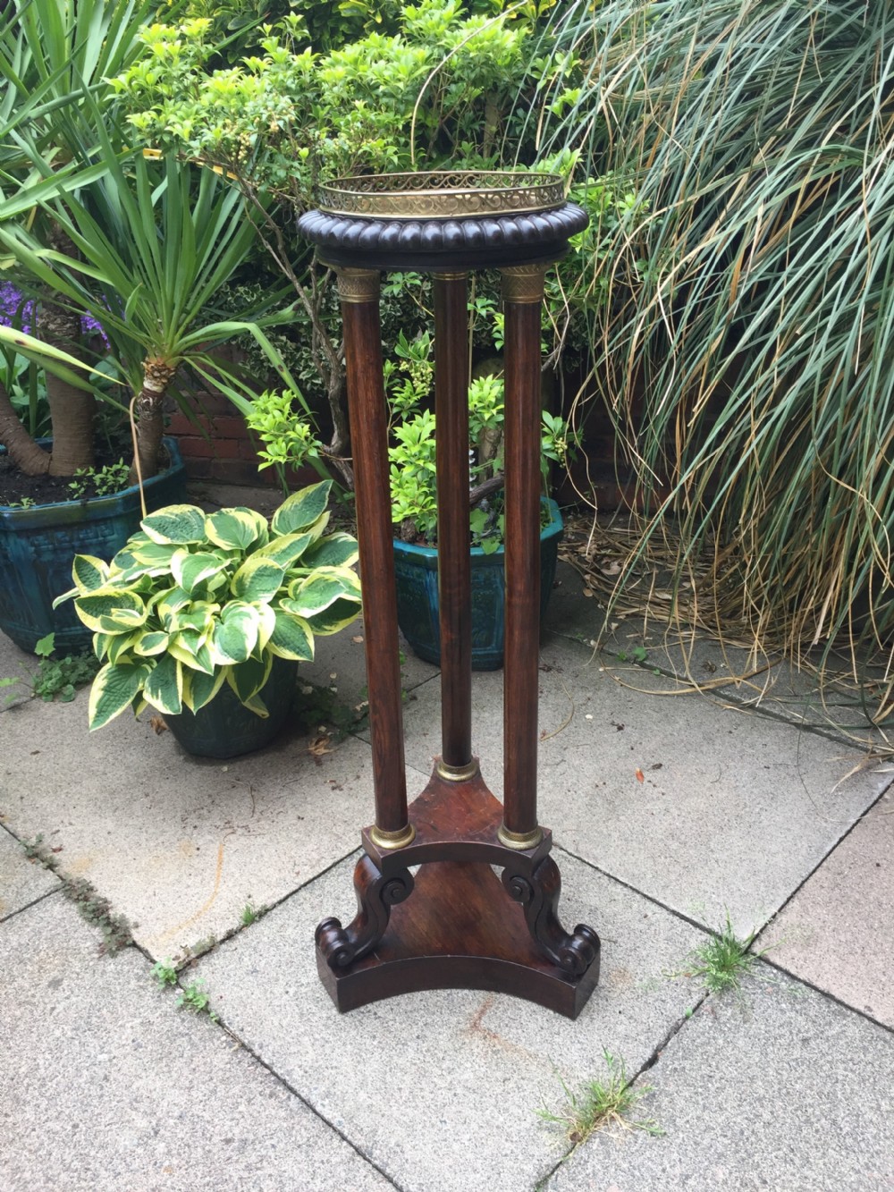 Early C19th George IV period gilt-brass mounted rosewood torchere  of Empire design. View XIV