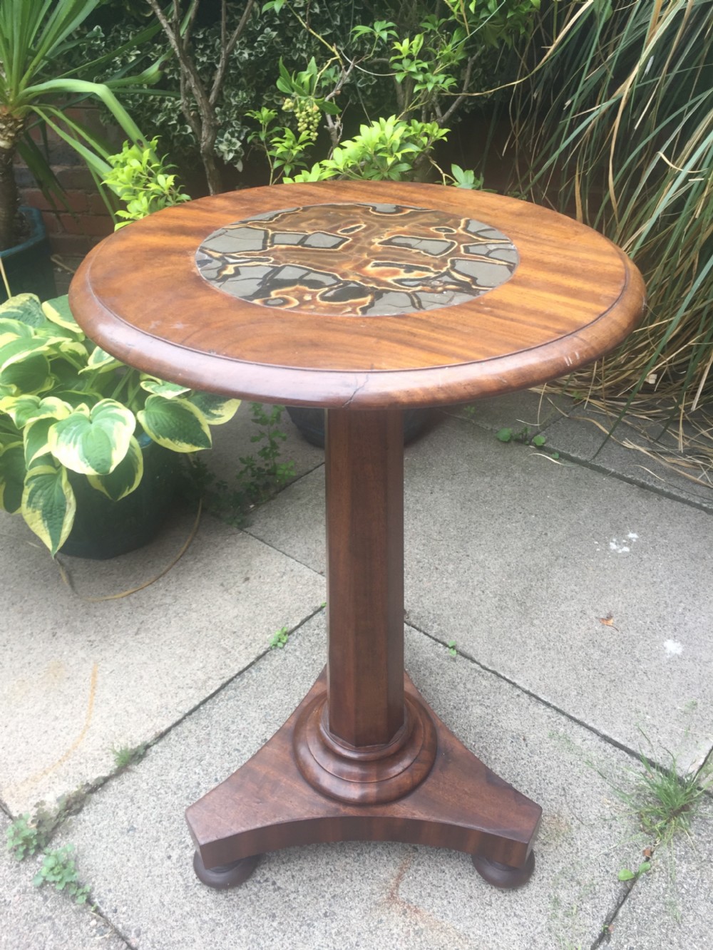 Decorative C19th William IV period mahogany occasional or lamp table with rare and unusual inset specimen marble 