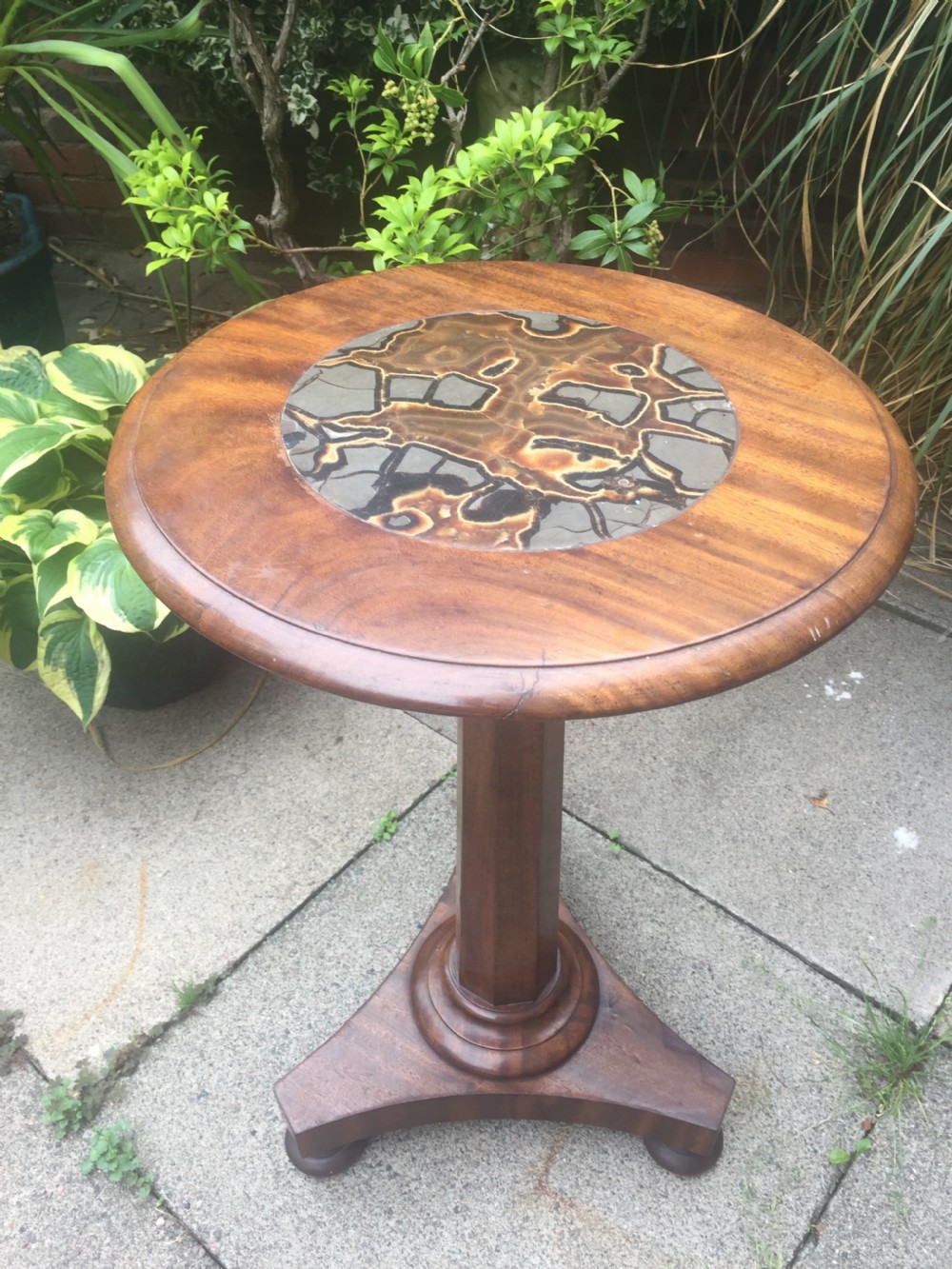 Decorative C19th William IV period mahogany occasional or lamp table with rare and unusual inset specimen marble 