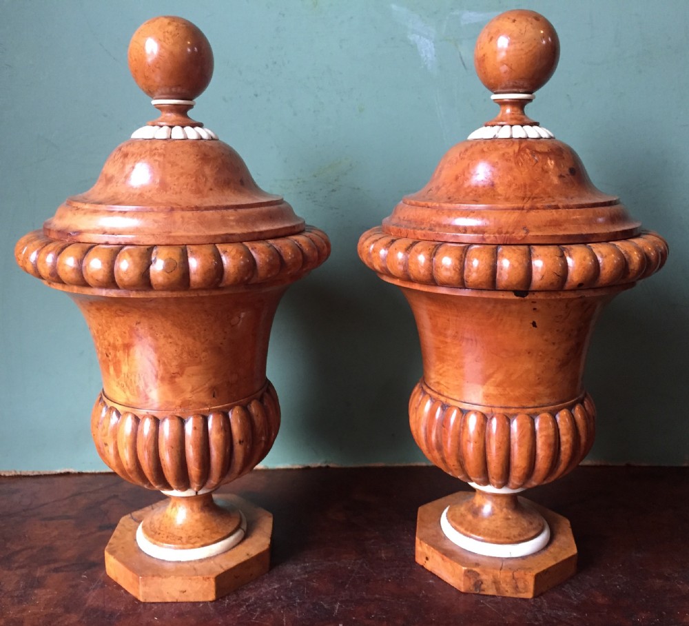 Pair of mid C19th ivory mounted burr fruit-wood lidded urns of classical campana design 