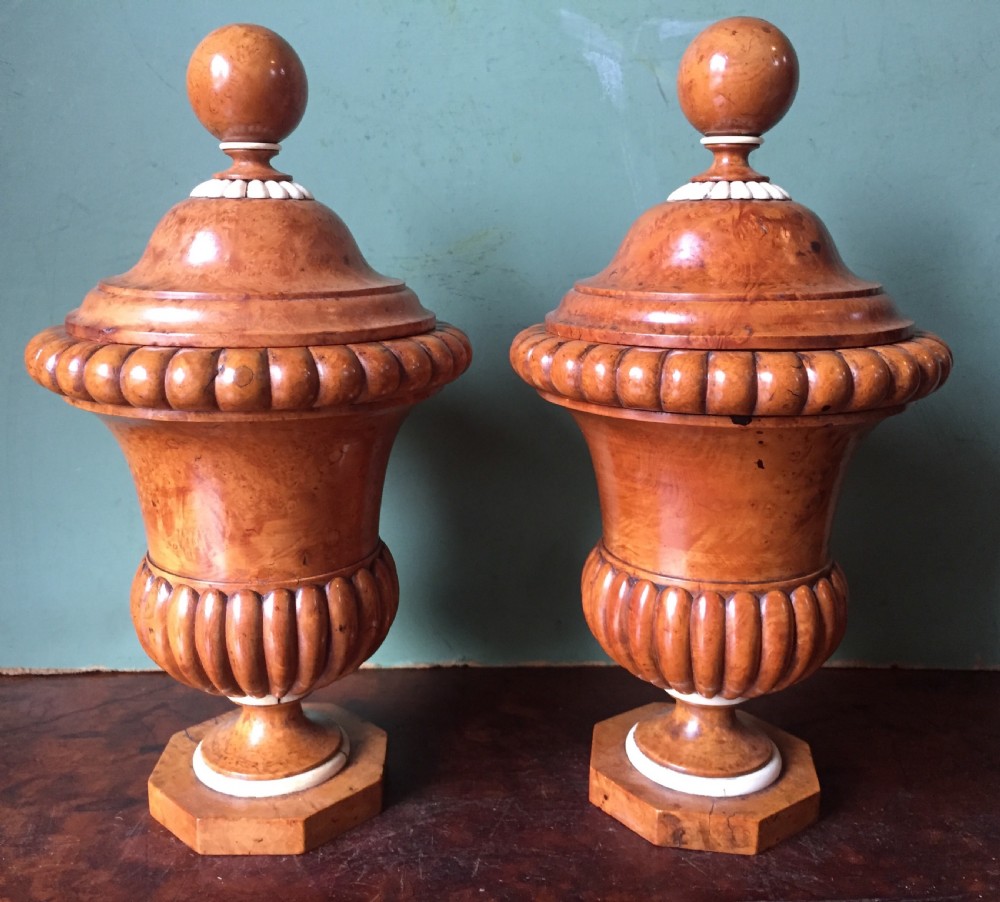 Pair of mid C19th ivory mounted burr fruit-wood lidded urns of classical campana design  View III