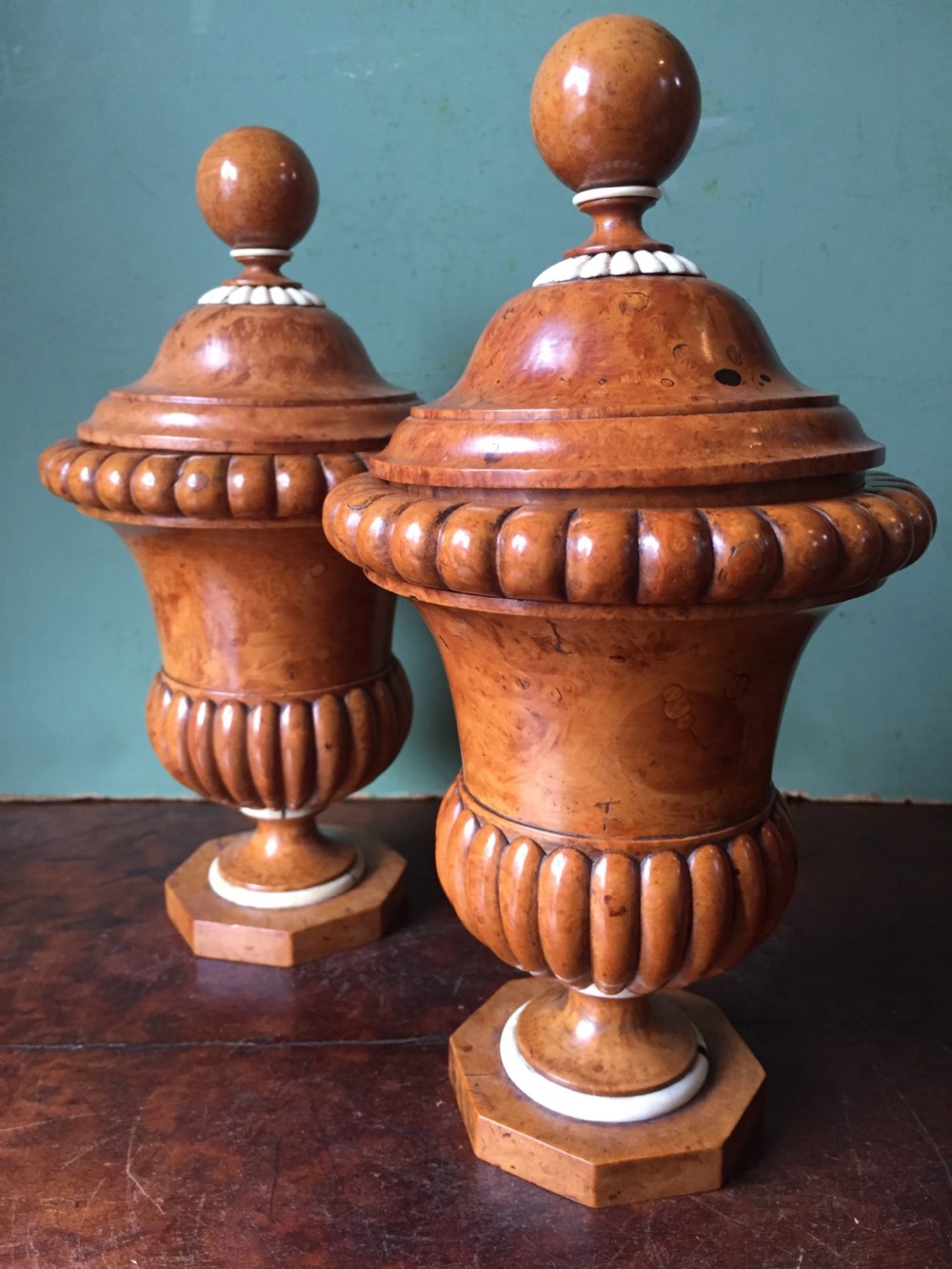 Pair of mid C19th ivory mounted burr fruit-wood lidded urns of classical campana design  View V