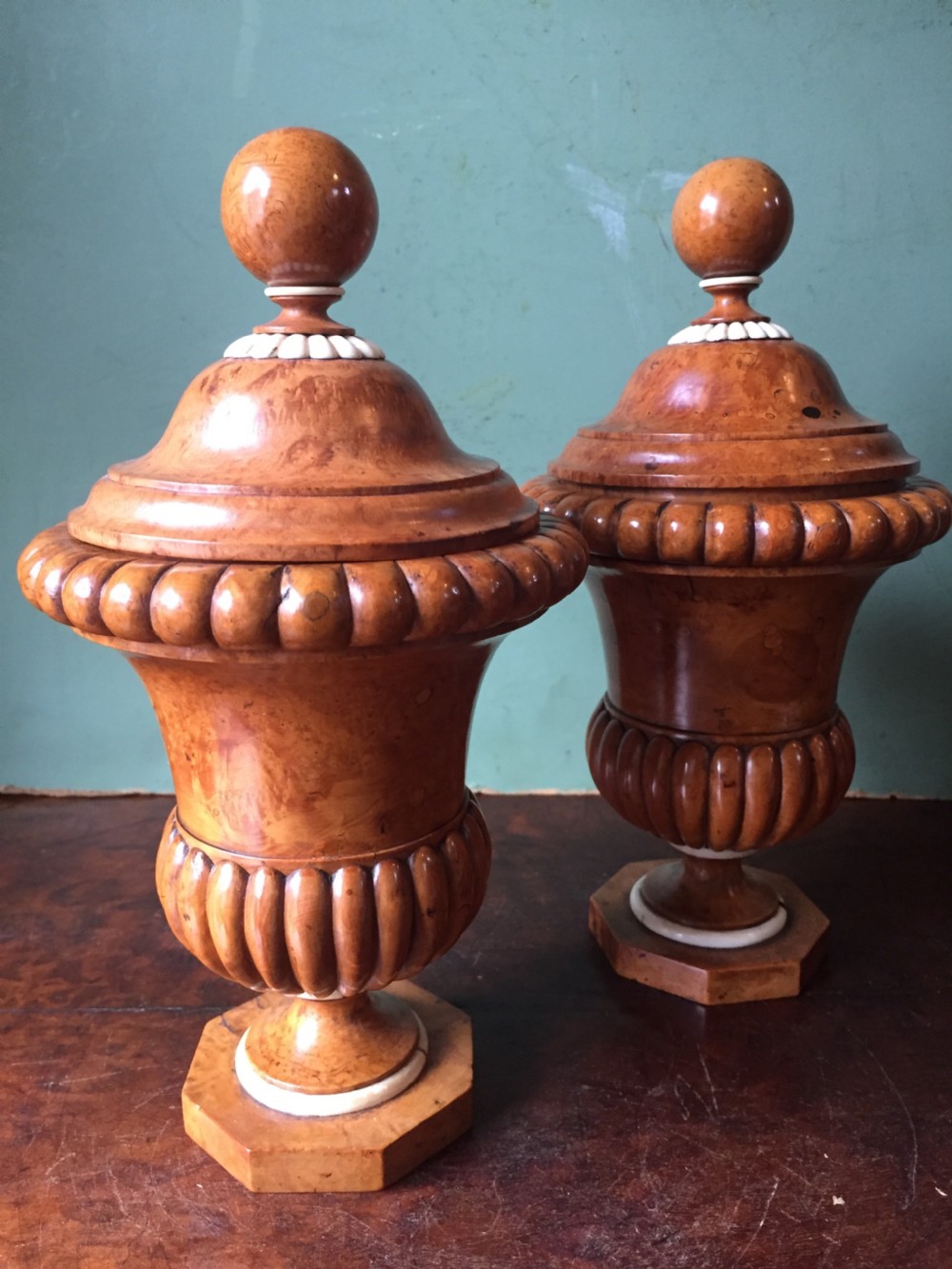 Pair of mid C19th ivory mounted burr fruit-wood lidded urns of classical campana design  View VI