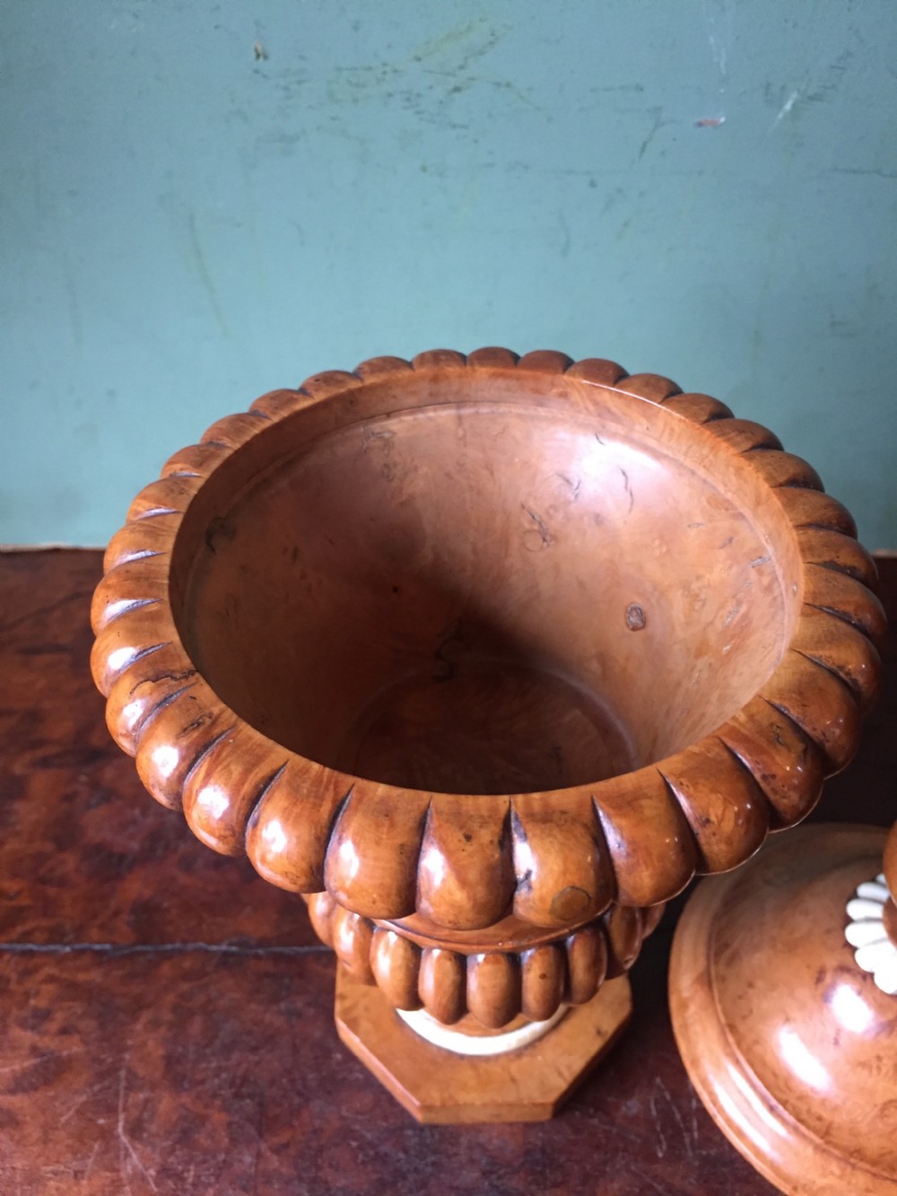 Pair of mid C19th ivory mounted burr fruit-wood lidded urns of classical campana design  View X