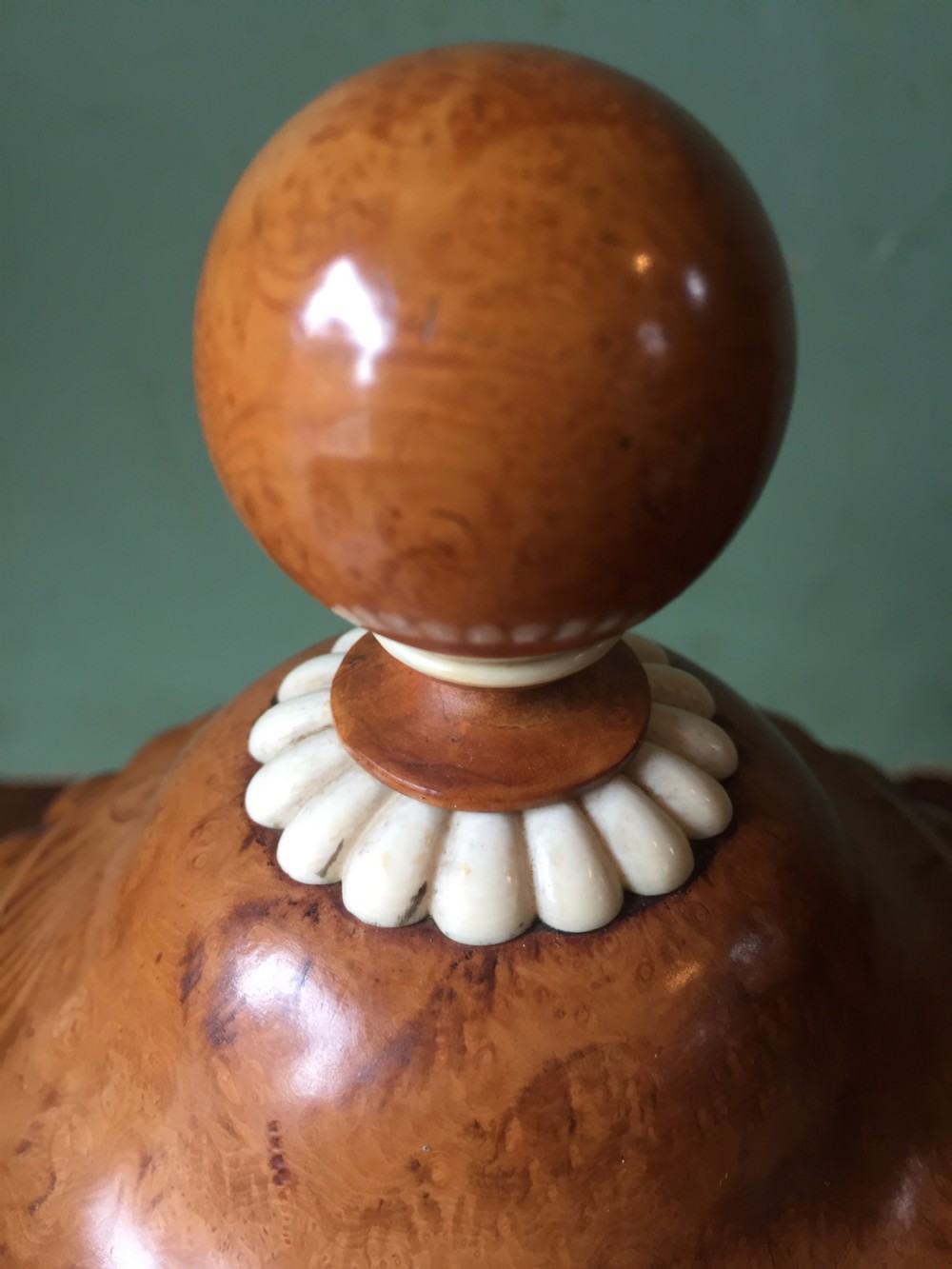 Pair of mid C19th ivory mounted burr fruit-wood lidded urns of classical campana design  View XI