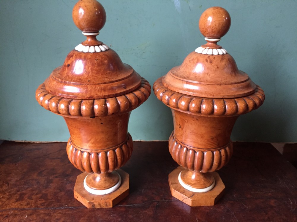 Pair of mid C19th ivory mounted burr fruit-wood lidded urns of classical campana design  View XVII
