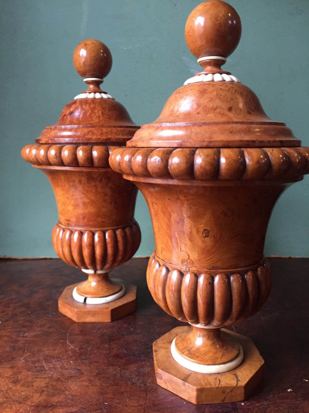 Pair of mid C19th ivory mounted burr fruit-wood lidded urns of classical campana design  View XXI