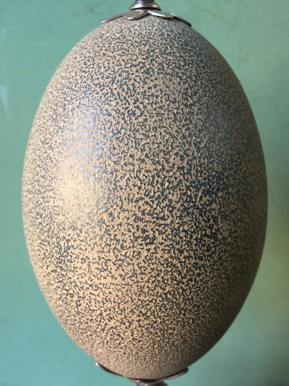 Of Australian interest: Pair of late C19th silver-plated mounted Emu eggs on ebonised socle bases. View IX
