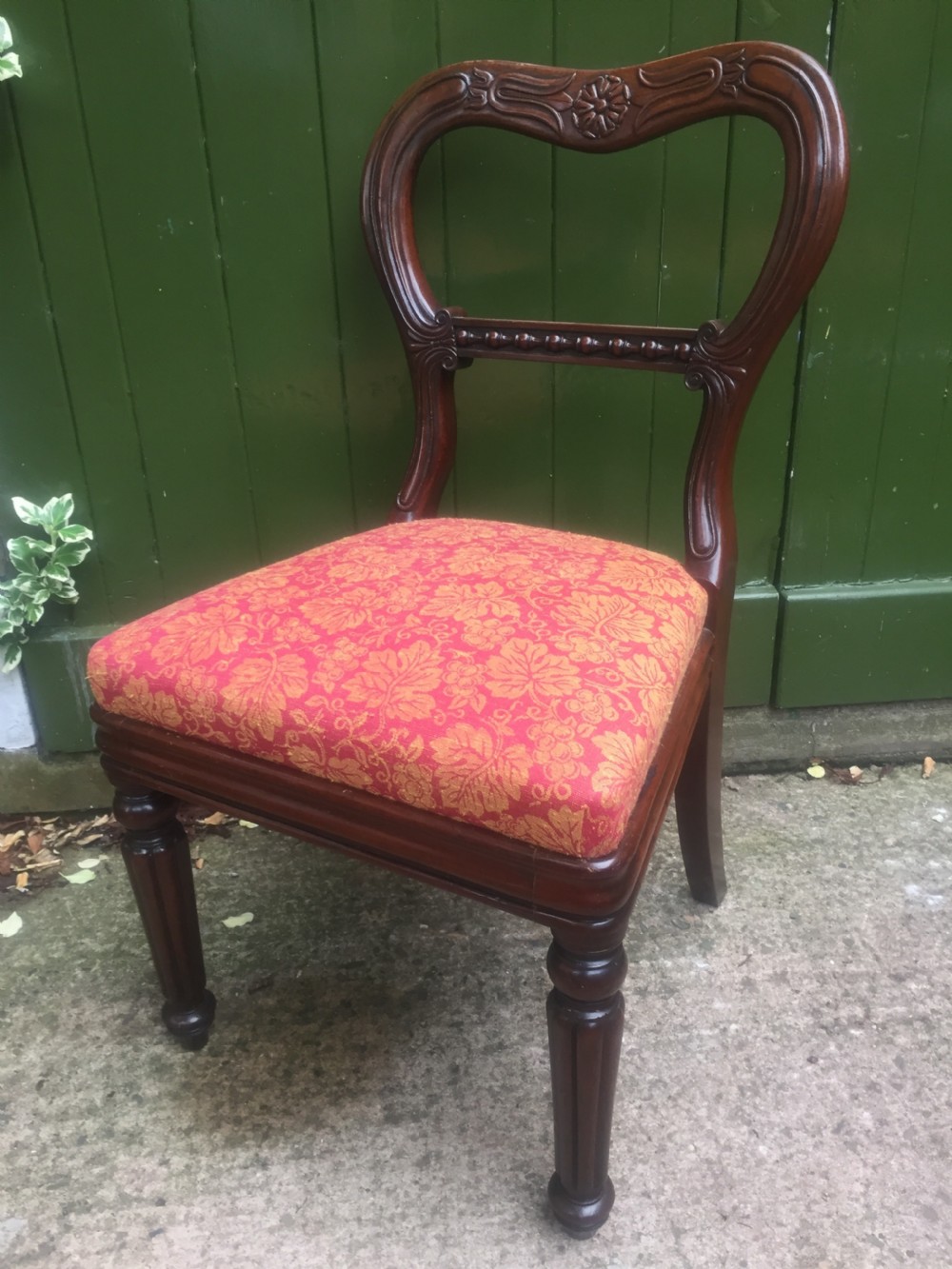 A set of six early nineteenth-century George IV mahogany dining chairs featuring carved balloon back frames, reeded legs, and red pattern upholstered seats. View X
