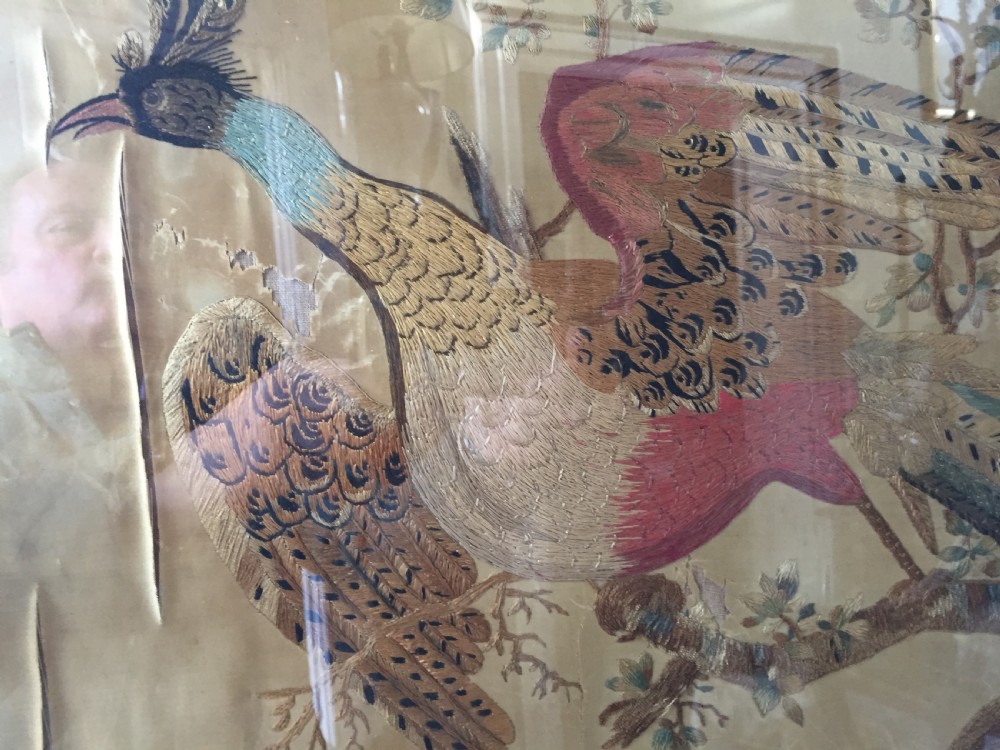 Highly decorative early C19th English silk needlework picture of an exotic Chinese pheasant in original giltwood frame. View II