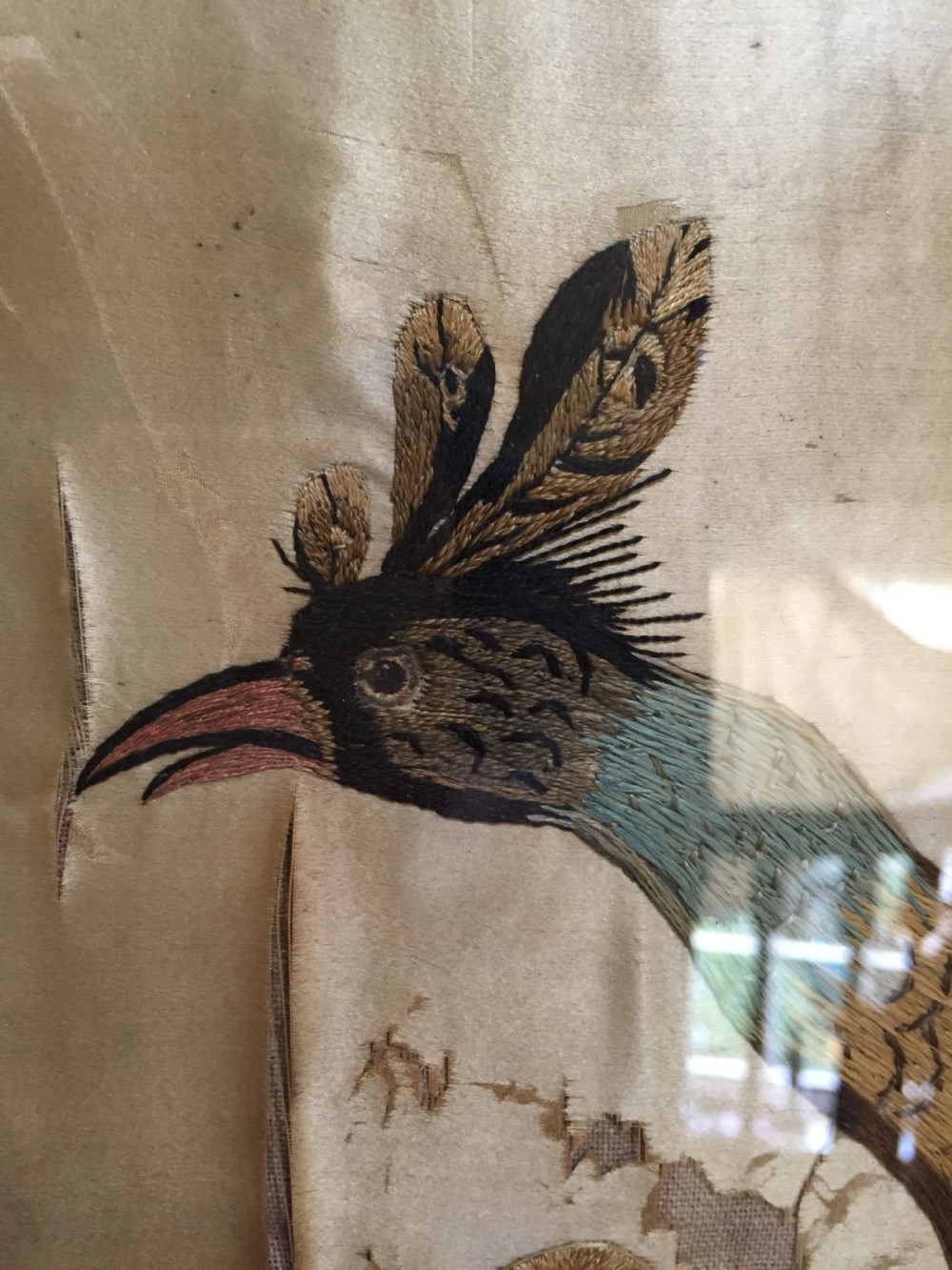 Highly decorative early C19th English silk needlework picture of an exotic Chinese pheasant in original giltwood frame. View VI