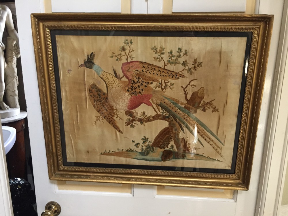Highly decorative early C19th English silk needlework picture of an exotic Chinese pheasant in original giltwood frame. View VII