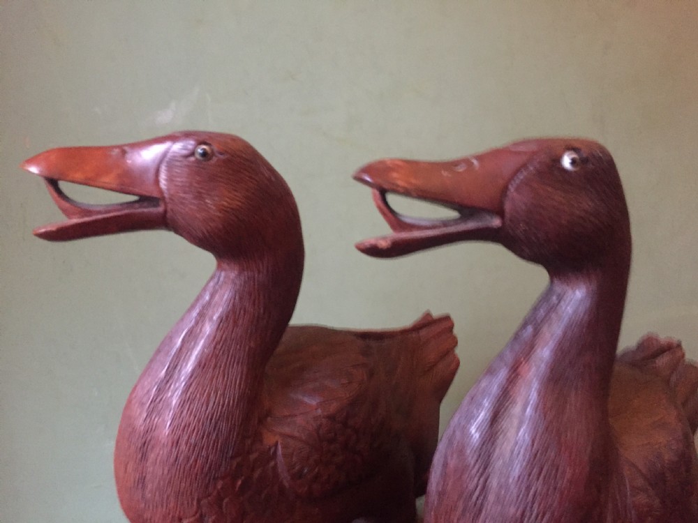 A pair of late nineteenth-century Chinese hardwood carved ducks with open beaks resting on sculpted bases. View XII