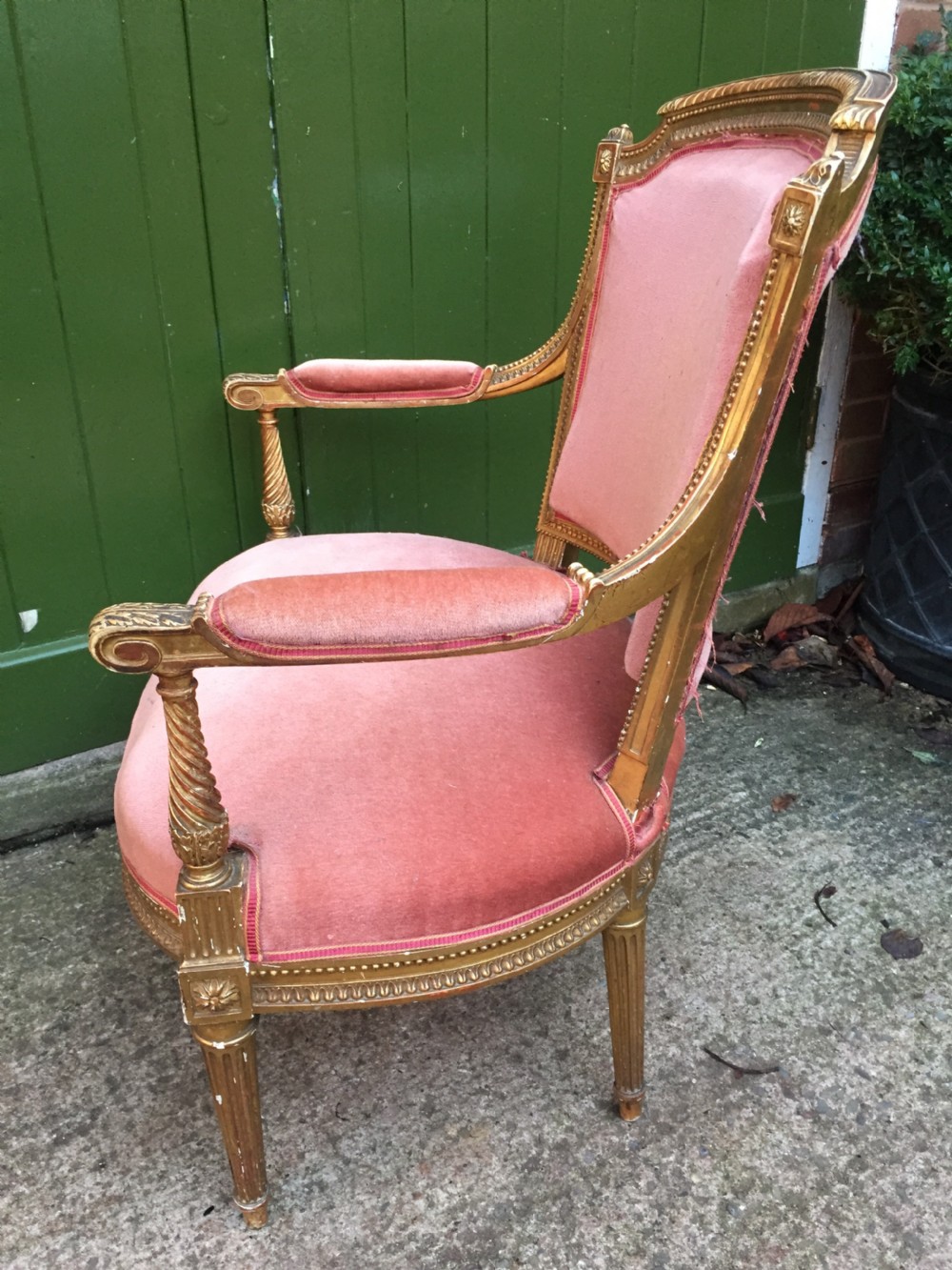 Late C19th French giltwood salon chair of broad proportions in the Louis XVI period style. View VII
