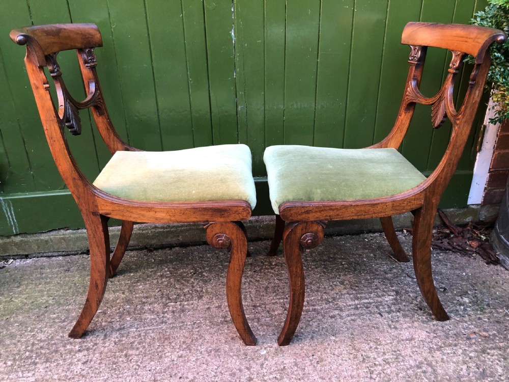 Pair of early C19th Regency period rosewood side chairs of classical Grecian inspiration. View VII
