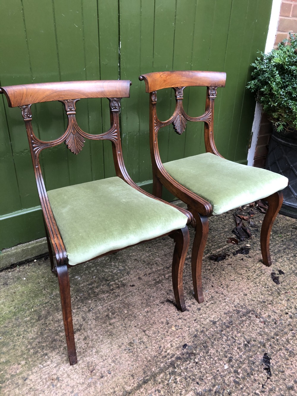 Pair of early C19th Regency period rosewood side chairs of classical Grecian inspiration. View IV