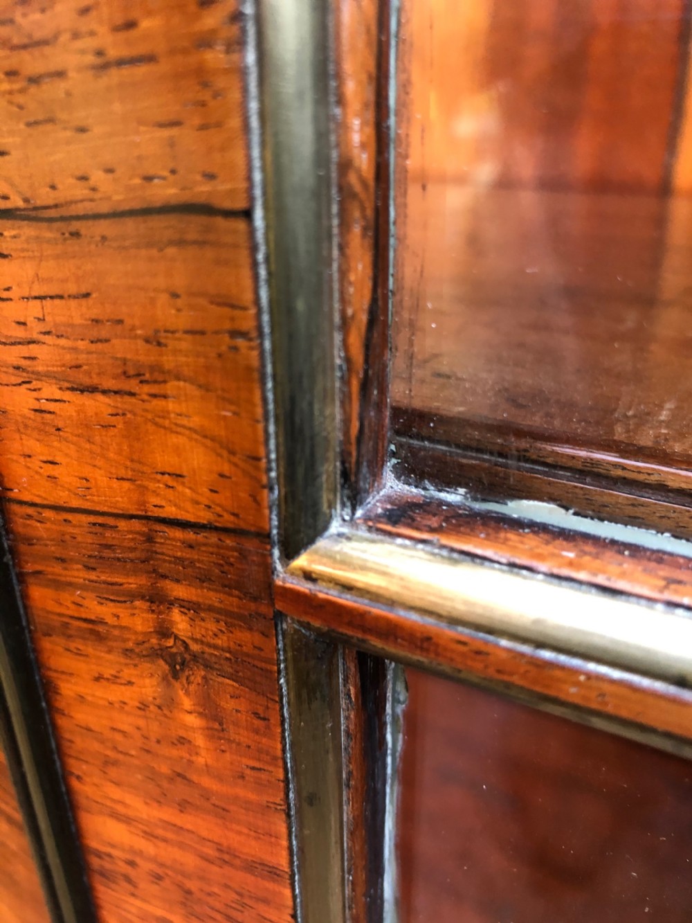 Early C19th Regency period rosewood and mahogany glazed ‘dwarf ‘ bookcase cabinet. View XI