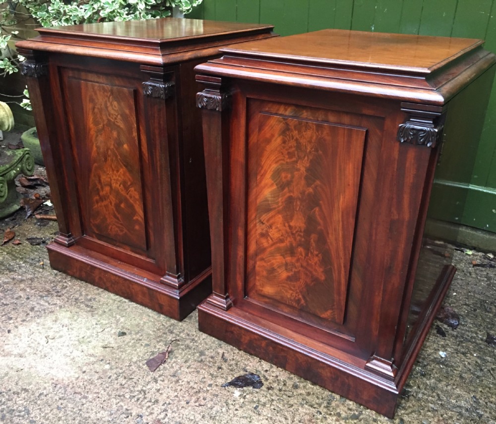 Pair of early C19th George IV period mahogany pedestal cupboards . View V