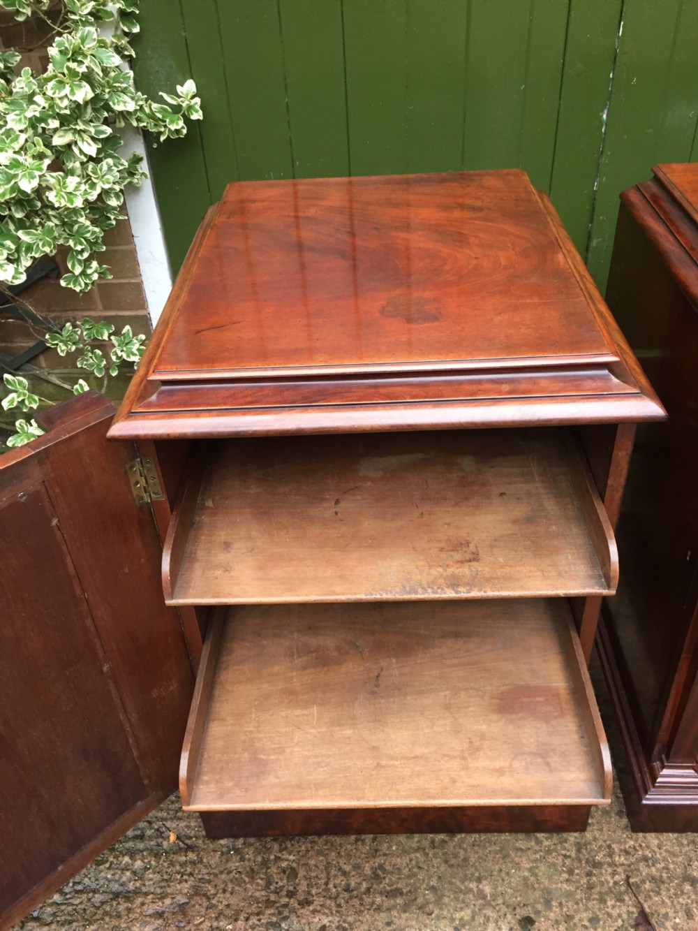 Pair of early C19th George IV period mahogany pedestal cupboards . View VIII