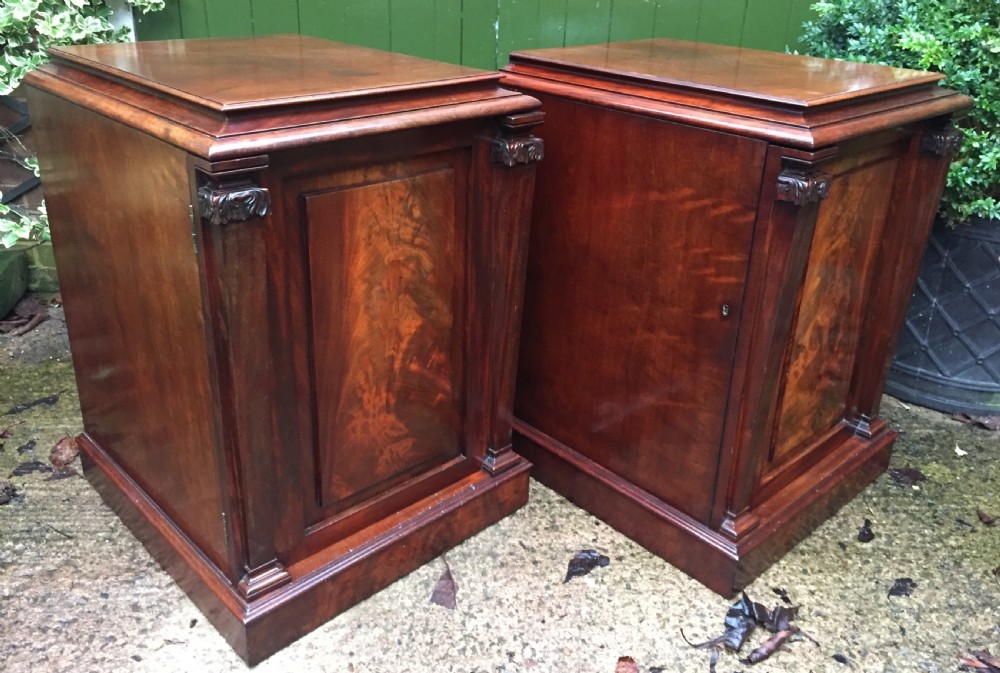 Pair of early C19th George IV period mahogany pedestal cupboards . View XIV