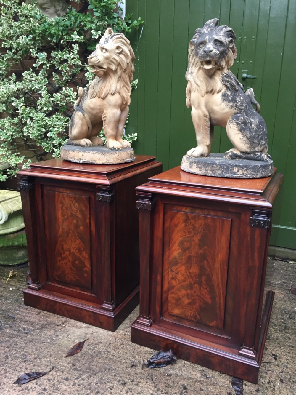 Pair of early C19th George IV period mahogany pedestal cupboards . View XV