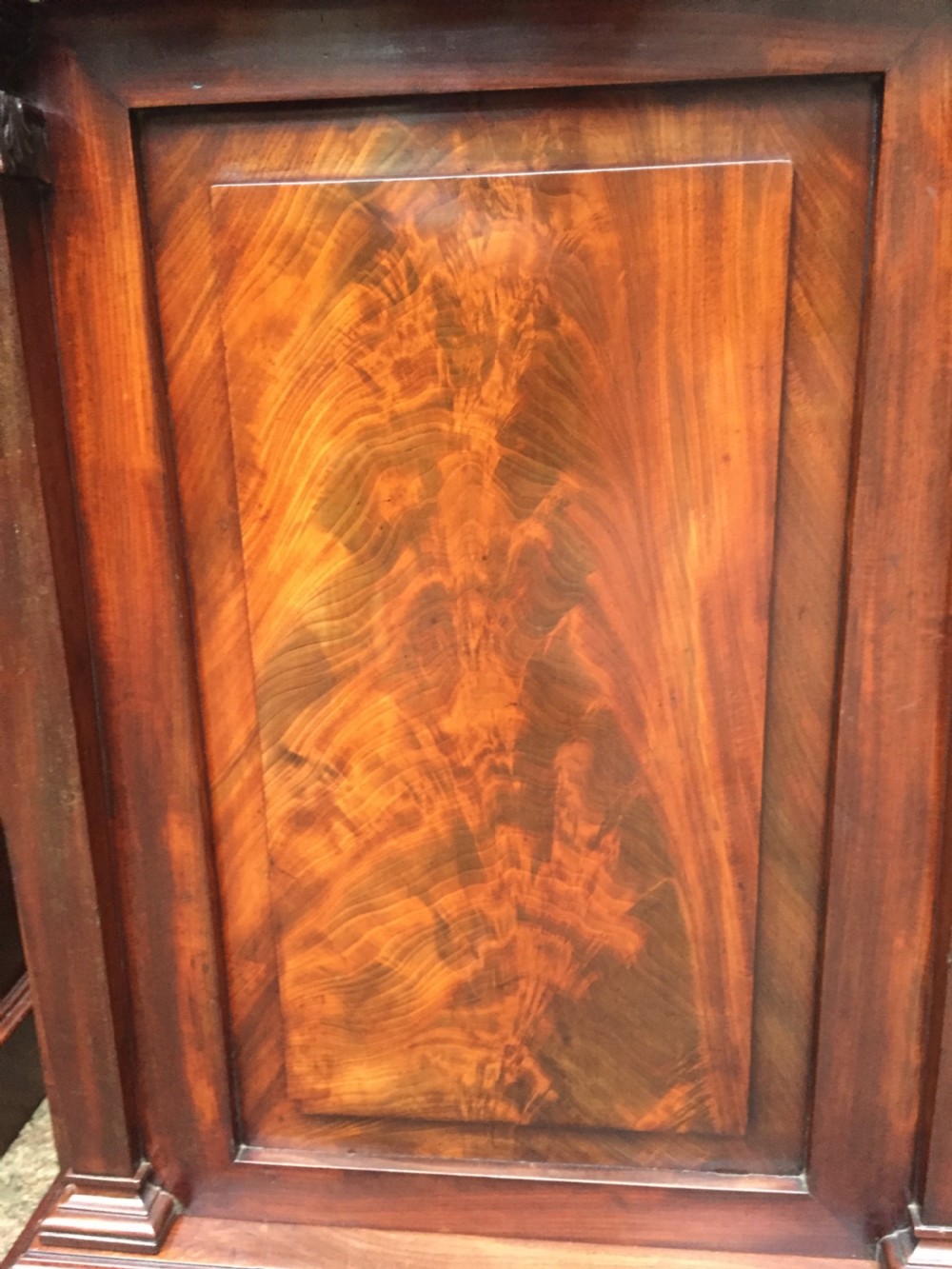 Pair of early C19th George IV period mahogany pedestal cupboards . View XVIII