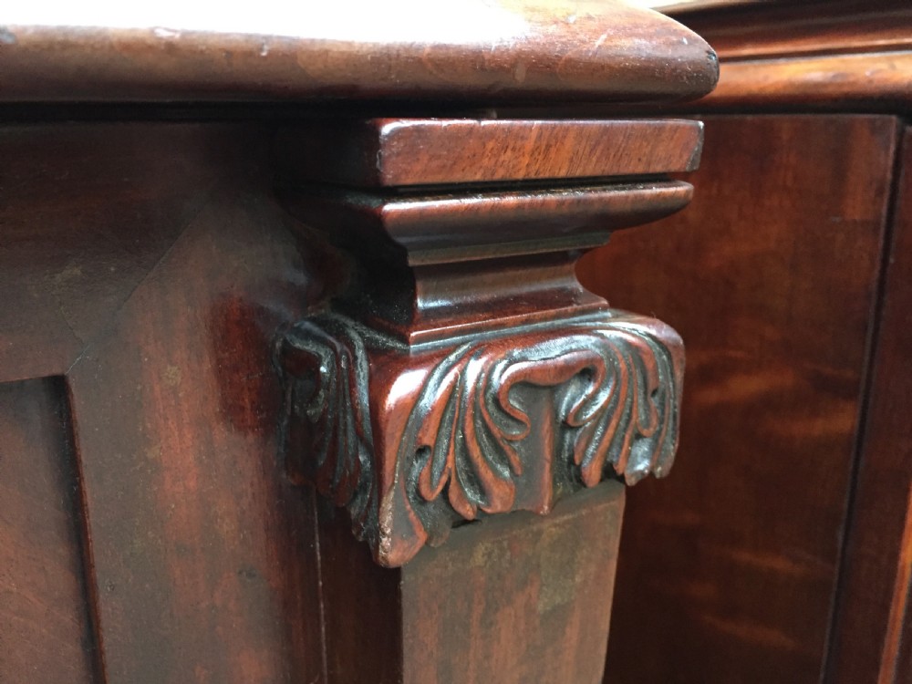 Pair of early C19th George IV period mahogany pedestal cupboards . View XX