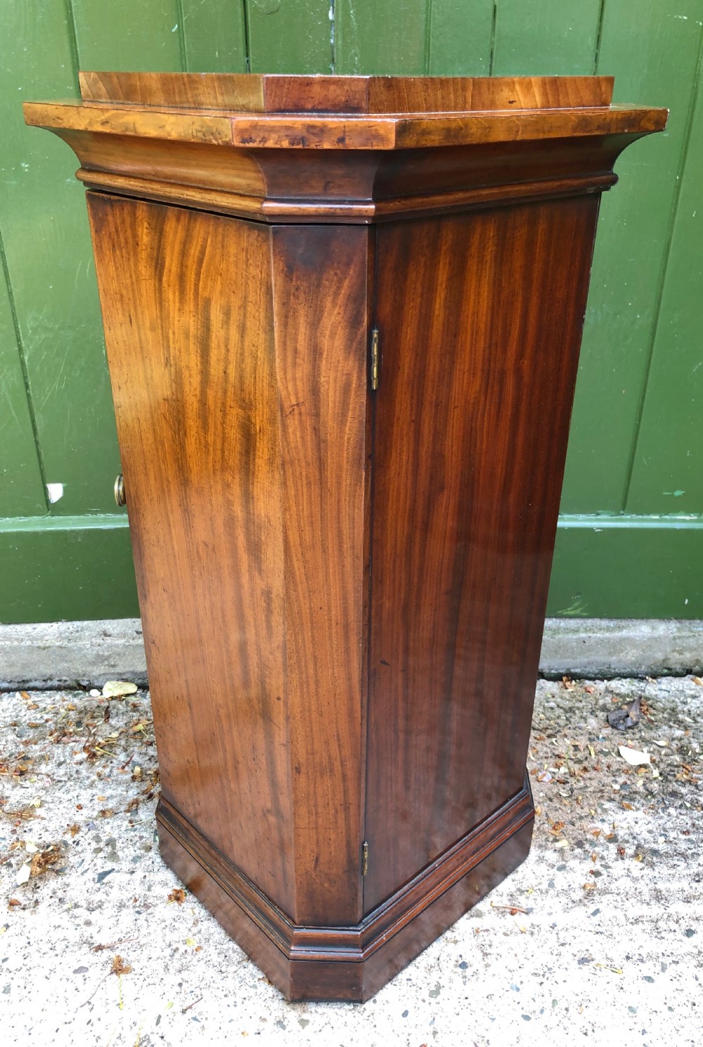 An early 19th-century Regency mahogany octagonal pedestal bedside cupboard featuring a single door with a brass knob and a stepped plinth base. View V