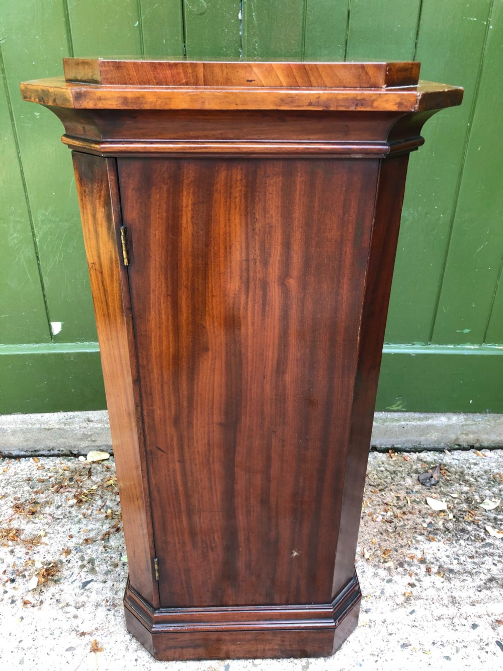 An early 19th-century Regency mahogany octagonal pedestal bedside cupboard featuring a single door with a brass knob and a stepped plinth base. View VI