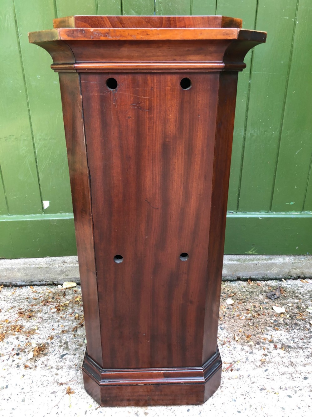 An early 19th-century Regency mahogany octagonal pedestal bedside cupboard featuring a single door with a brass knob and a stepped plinth base. View VII