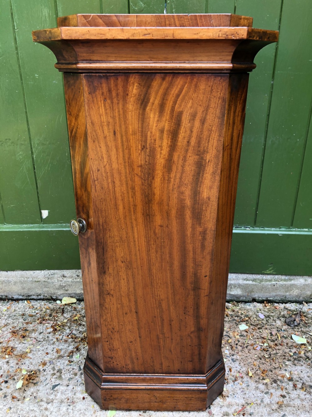 An early 19th-century Regency mahogany octagonal pedestal bedside cupboard featuring a single door with a brass knob and a stepped plinth base. View IX