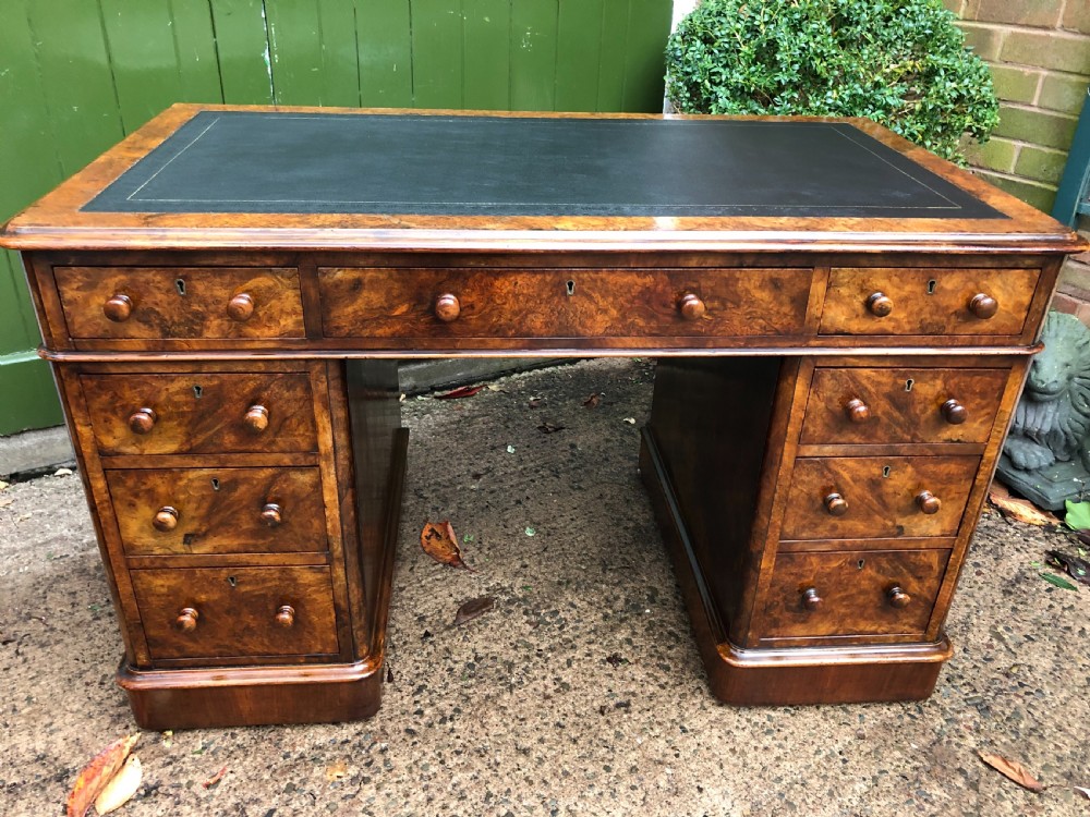 Mid C19th Victorian period burr walnut pedestal writing desk .