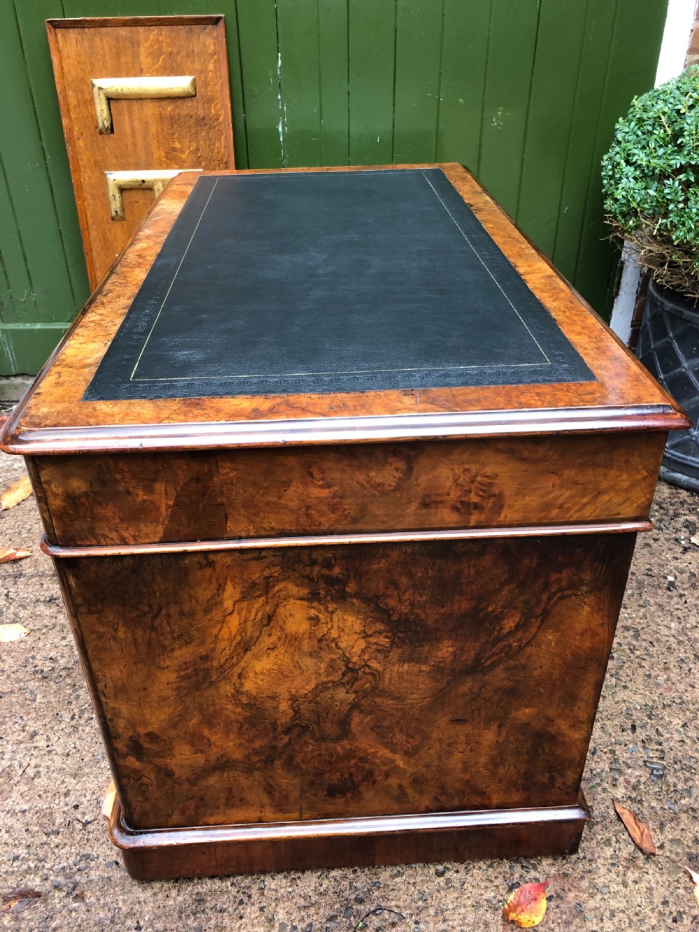 Mid C19th Victorian period burr walnut pedestal writing desk . View VIII