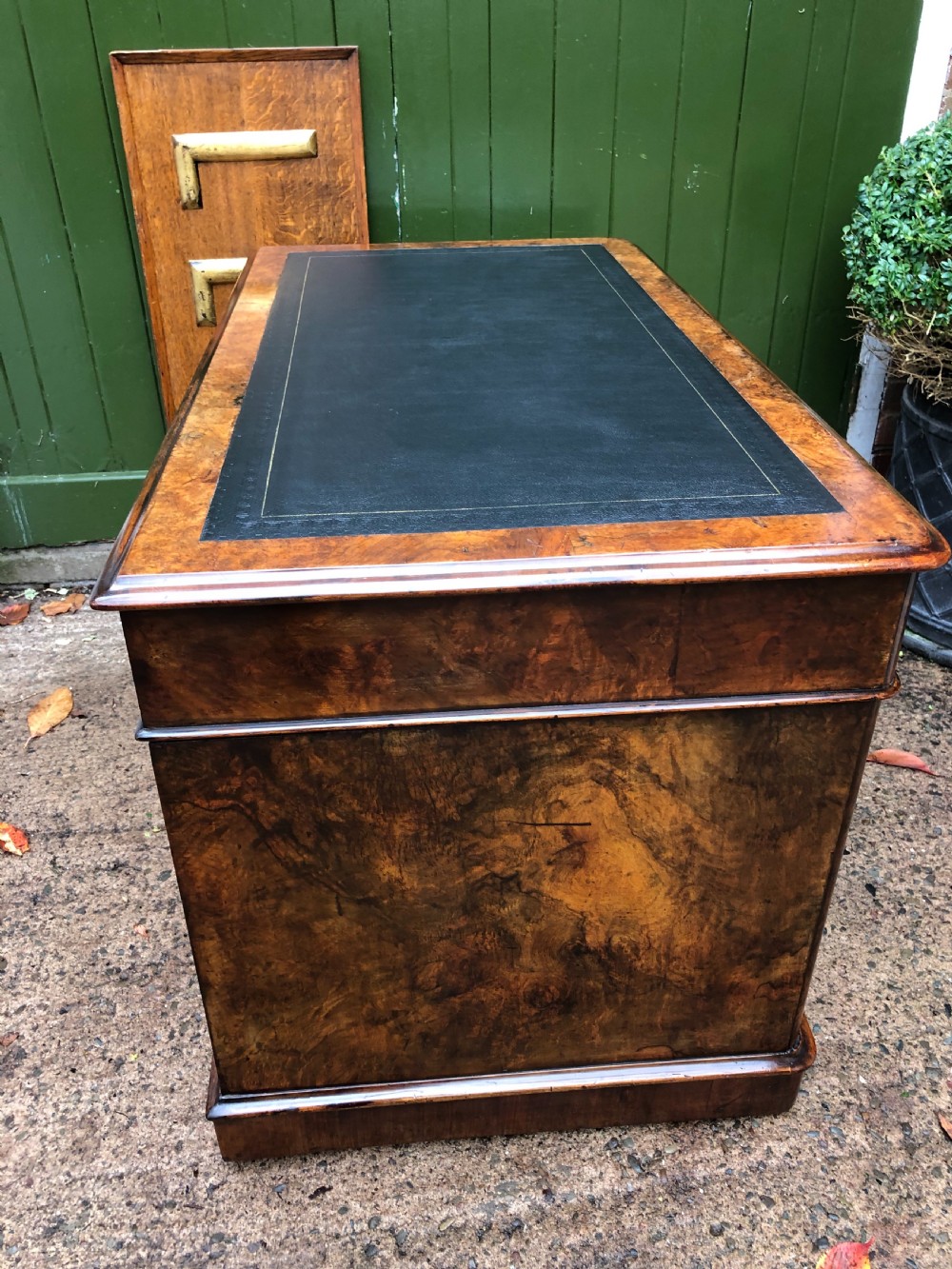 Mid C19th Victorian period burr walnut pedestal writing desk . View XV