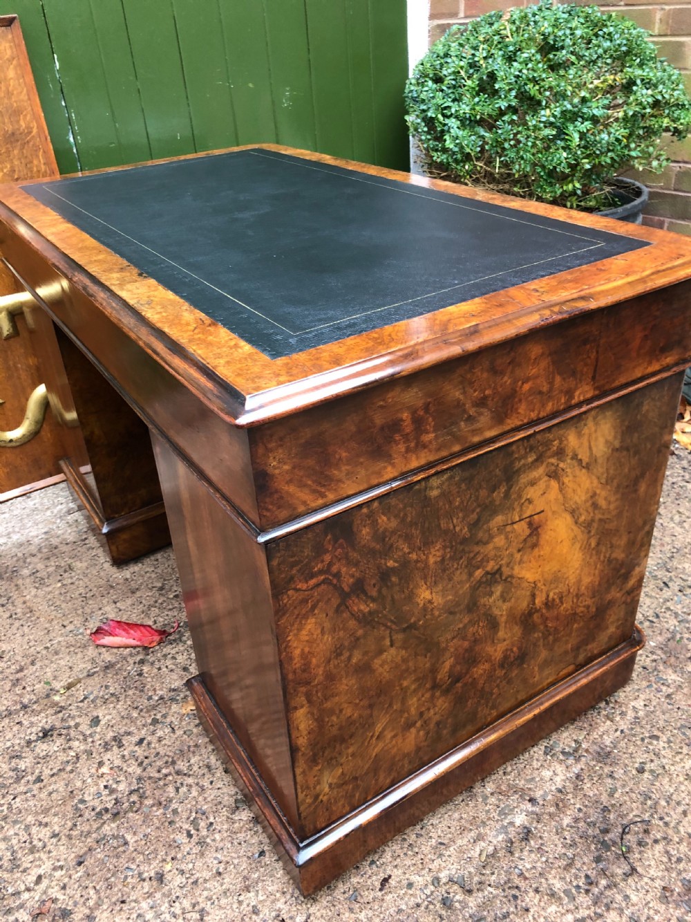 Mid C19th Victorian period burr walnut pedestal writing desk . View XVII