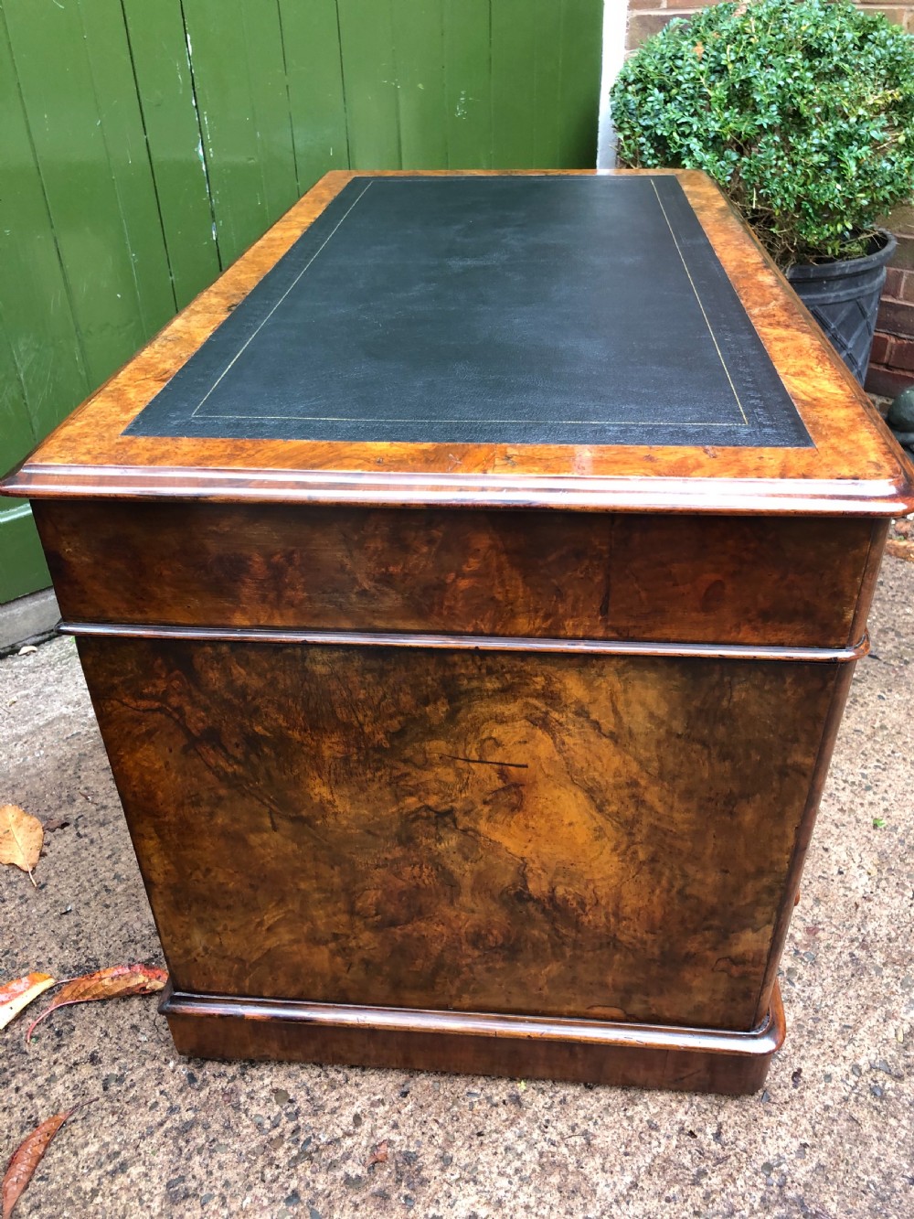 Mid C19th Victorian period burr walnut pedestal writing desk . View XX