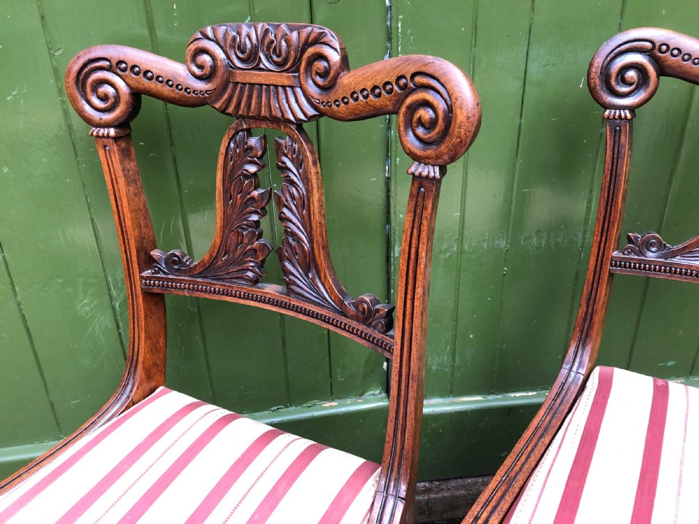 Set of 6 early C19th George IV period carved rosewood dining chairs in the manner of Gillows of Lancaster. View XI
