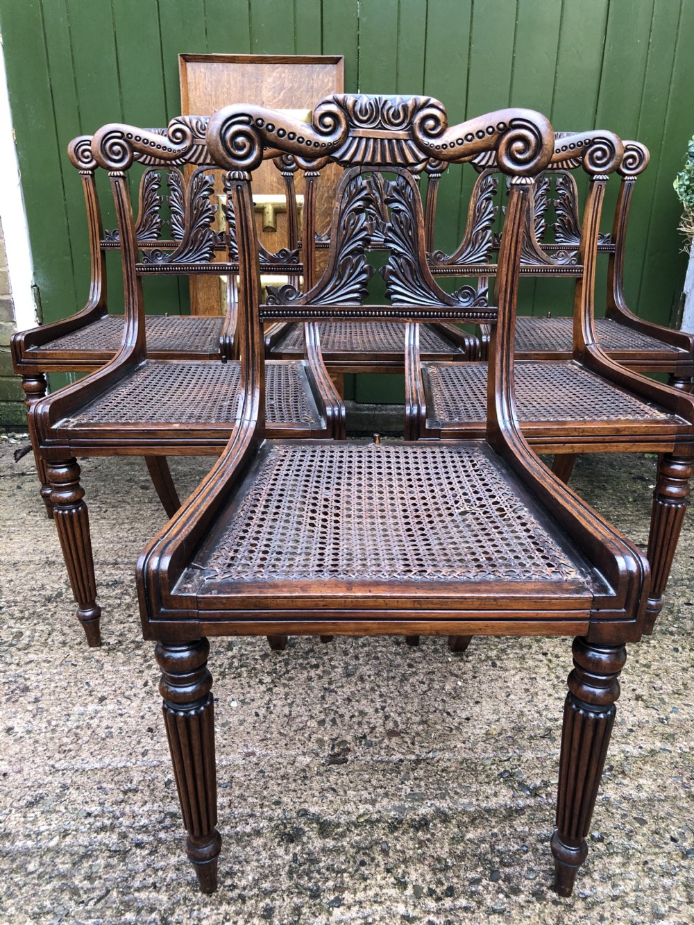 Set of 6 early C19th George IV period carved rosewood dining chairs in the manner of Gillows of Lancaster. View III