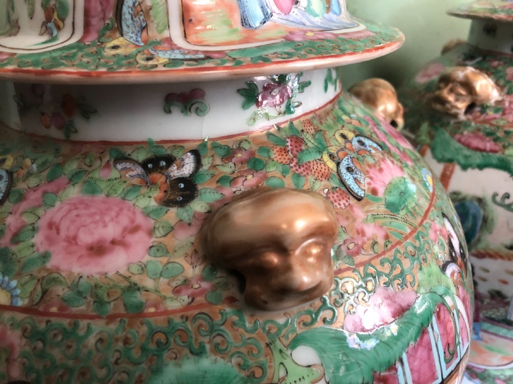 Pair of C19th Chinese Cantonese porcelain ‘famille rose’ enamel decorated vases and covers . View XVIII