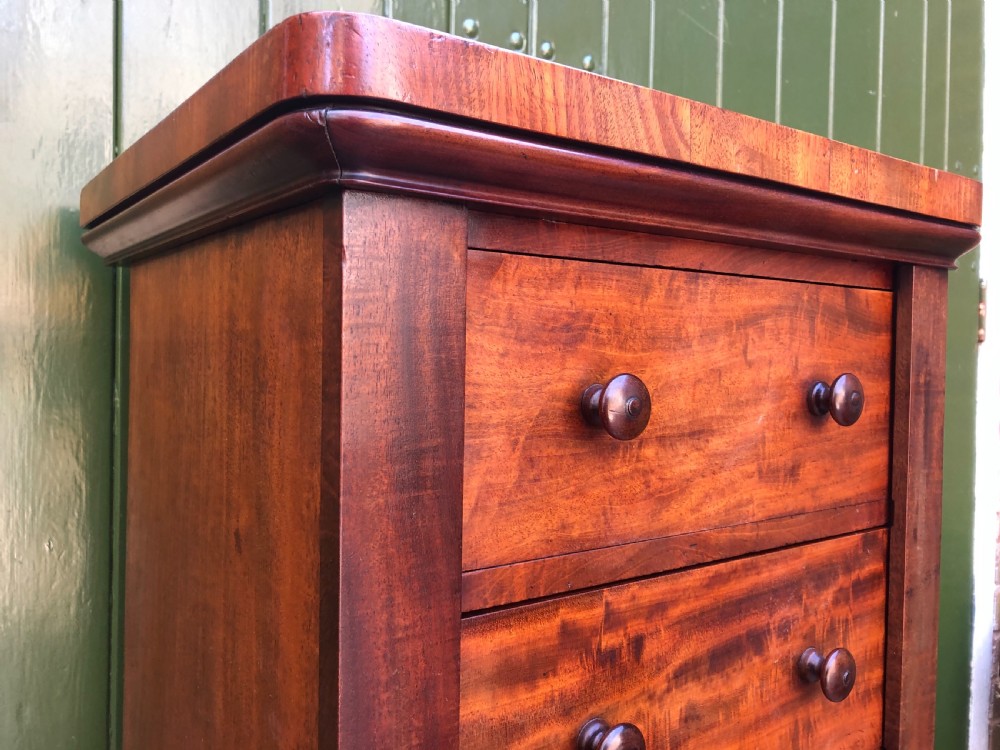 Early C19th Regency period mahogany seven-drawer ‘Wellington’ chest . View IX