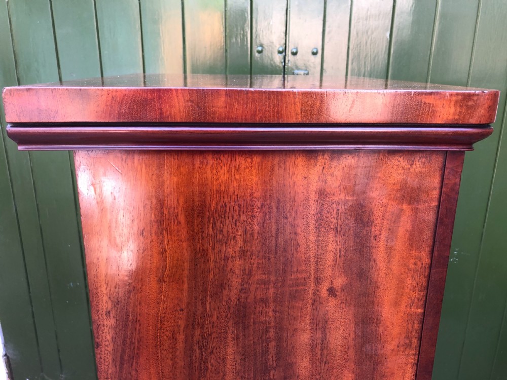 Early C19th Regency period mahogany seven-drawer ‘Wellington’ chest . View XIX