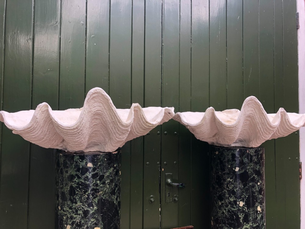 A pair of large off-white composition giant clam shells featuring deep wavy scalloped edges and textured exterior growth ridges. View II